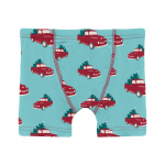 Kickee Pants Boy Boxer Brief Iceberg Truck and Trees
