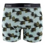 Kickee Pants Men Boxer Brief Spring Sky Pinecones