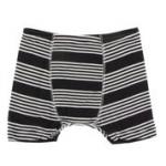 Kickee Pants Boy Boxer Brief Zebra Agriculture Stripe