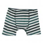 Kickee Pants Boy Boxer Brief Wildlife Stripe