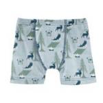 Kickee Pants Boy Boxer Brief Pearl Blue Wilderness Guide