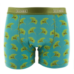Kickee Pants Men Boxer Brief Neptune Ginkgo